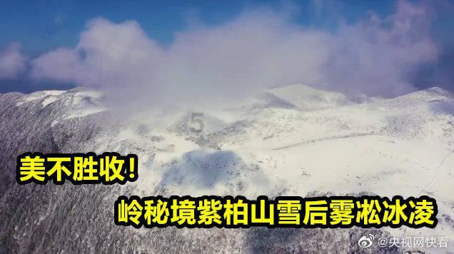 感谢信 | 上海云统信息科技有限公司向中国砂石协会发来感谢信