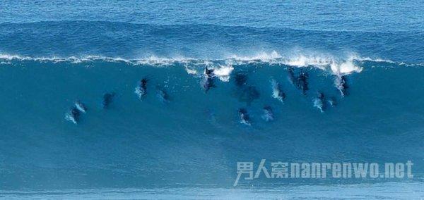 谢广坤小助理爆料，赵本山将登辽宁春晚，网友：有本山大叔我必看