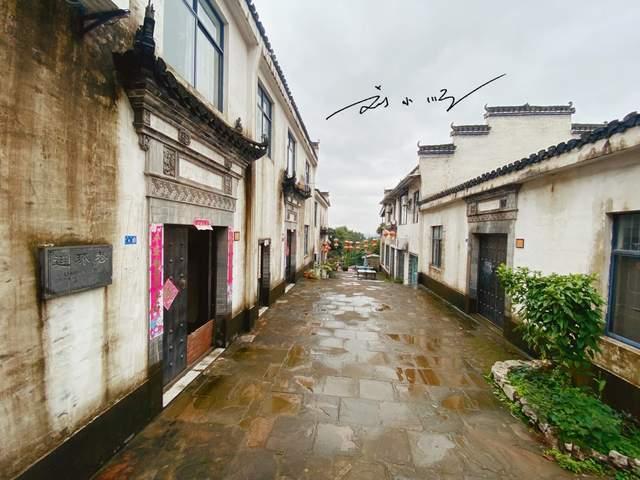 救援小袋熊